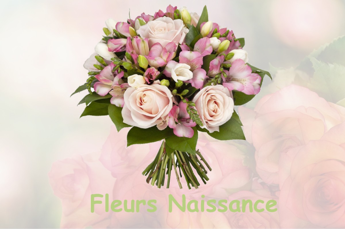 fleurs naissance THONNE-LE-THIL