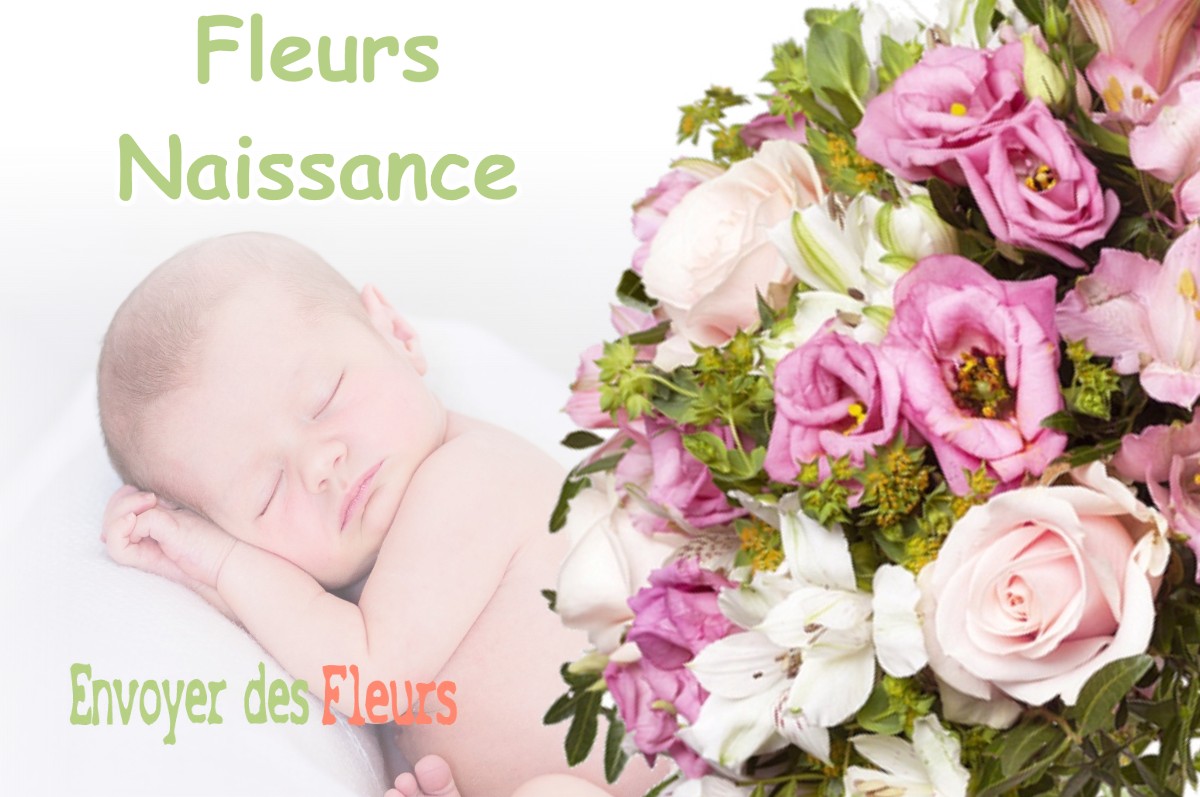 lIVRAISON FLEURS NAISSANCE à THONNE-LE-THIL